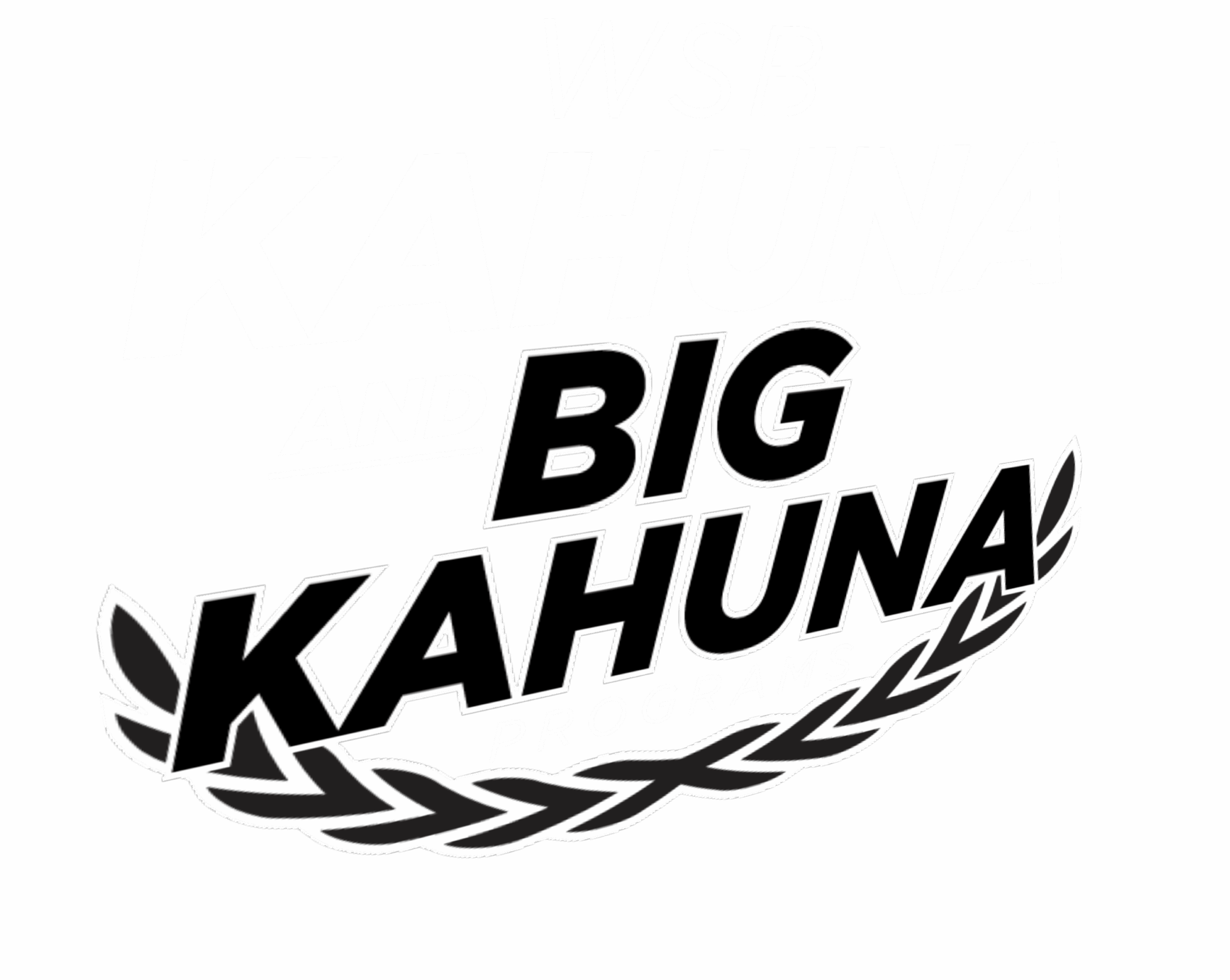 Kahuna-BigKahuna-logos-img-v1-anglex4